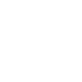 Fondazione pisa