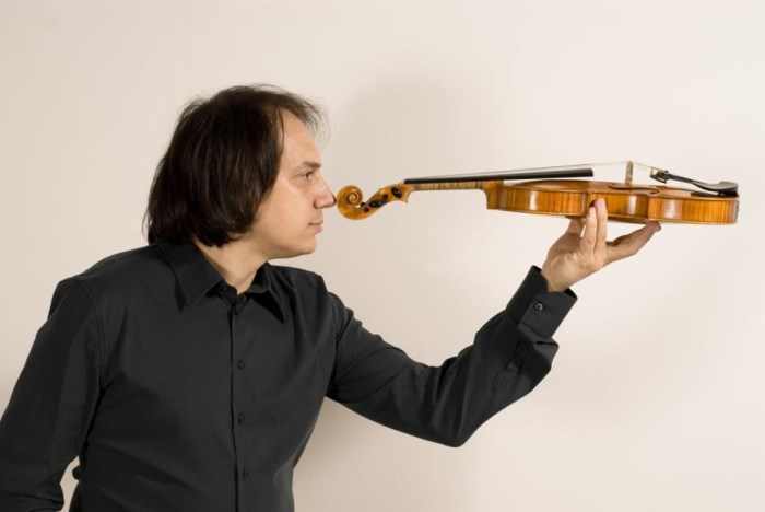 Luca Ciarla - Fiddler in the loop @Pomarance #MF15