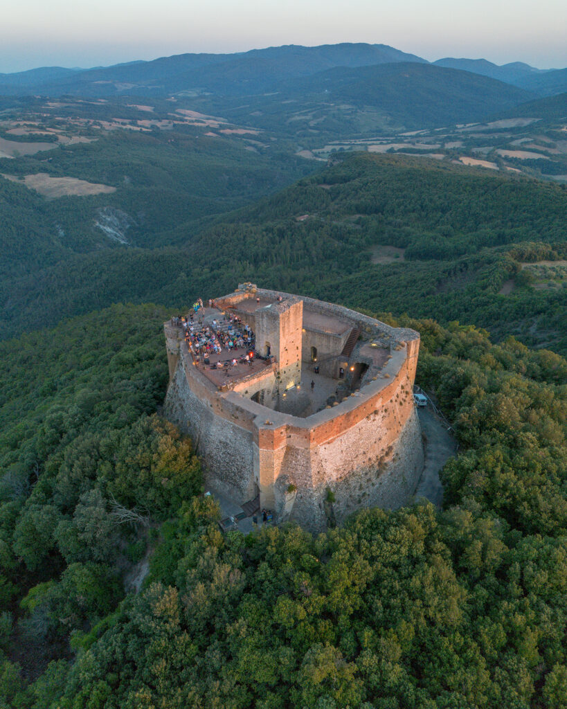 dimartino2